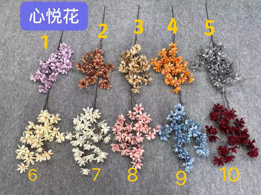 心悦花【运费自理】 商品图0