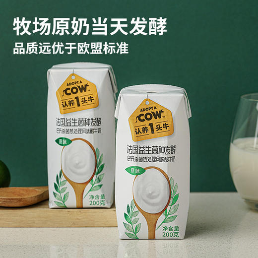 认养一头牛200钻原味酸12入 200g*12盒*2整箱 商品图1