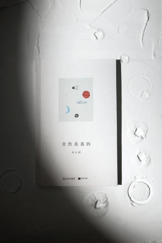 【单读新书009】《竟然是真的》刘天昭 著 商品图0