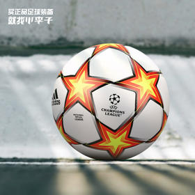 ADIDAS/阿迪达斯 21-22赛季欧冠比赛训练5号足球GT7788