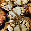 幸运小筑 | 六月黄全母大闸蟹 2盒装（花雕/香辣） 商品缩略图9