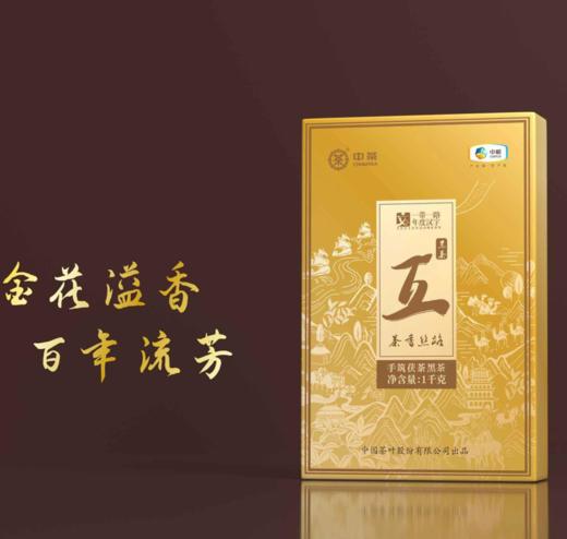 中茶茶香丝路手筑茯砖1kg安化黑茶 商品图0