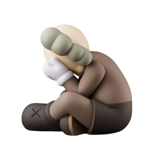 Kaws separated brooklyn-棕色 商品图0