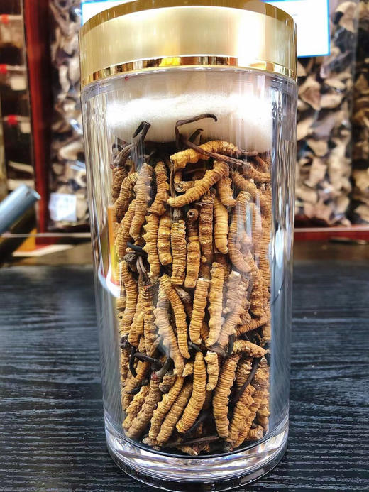 【青藏高海拔干草】冬虫夏草，礼盒装&家庭装 商品图14