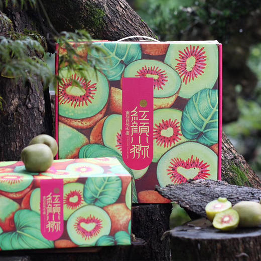 红颜小猕（红阳猕猴桃） 商品图4