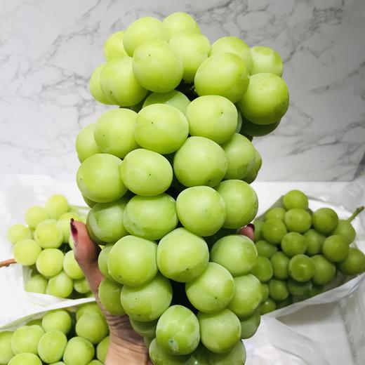 预售特级晴王中大果3串约5斤礼盒装脆甜可口香味浓郁风味十足