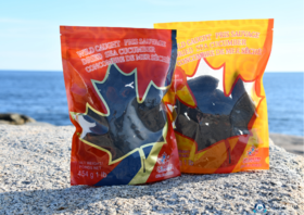 加拿大Costco野生淡干海参（1磅）ROSALYN 加拿大进口淡干海参开口参