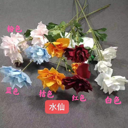 水仙【运费自理】 商品图0