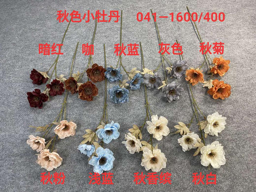 秋色小牡丹【运费自理】 商品图0