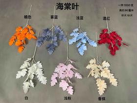 海棠叶【运费自理】