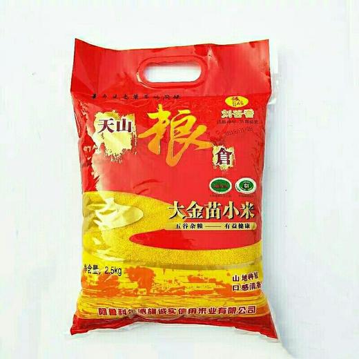 小米/天山大金苗 商品图0
