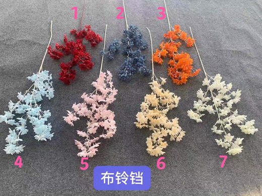 布铃铛【运费自理】 商品图0