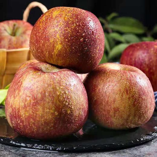 云南红露苹果 商品图0