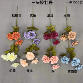 三头胶牡丹【运费自理】