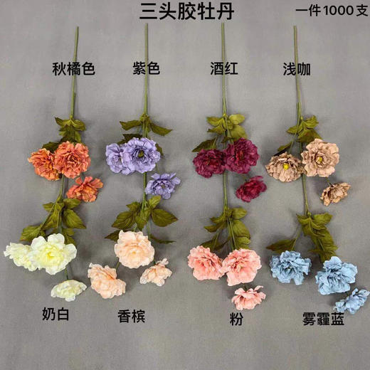 三头胶牡丹【运费自理】 商品图0