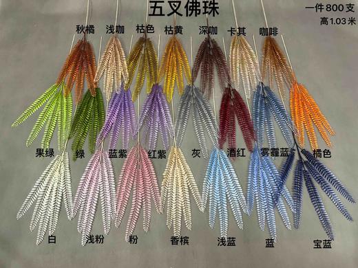 五叉佛珠【运费自理】 商品图0