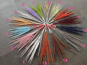 五叉薰衣草【运费自理】