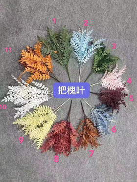 把槐叶【运费自理】