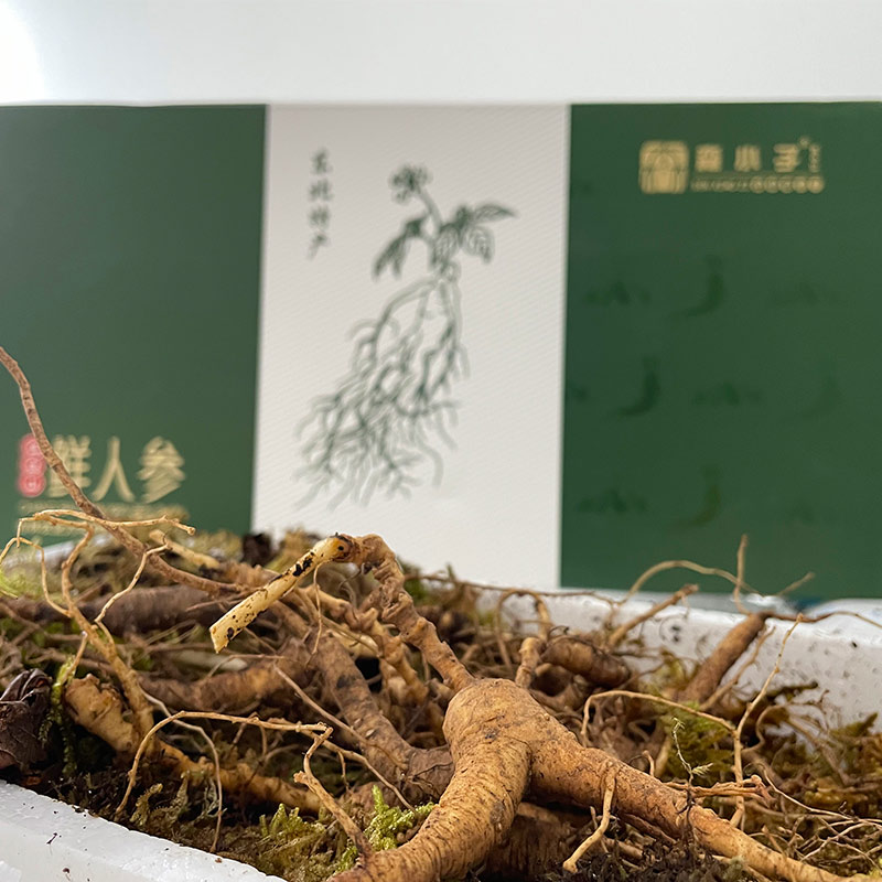 长白山15年新鲜野山参10支礼盒装