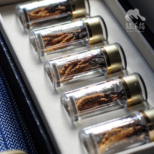 那曲冬虫夏草礼盒（2025年新草，24年断草8折优惠） | 公平贸易* Naqu Cordyceps sinensis | Fair-trade 商品图3