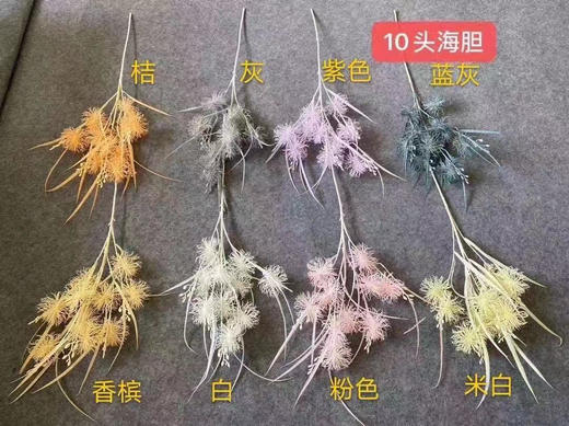 10头海胆【运费自理】 商品图0