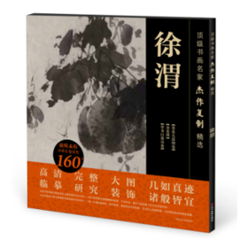 正版包邮：顶级书画名家杰作复制精选--徐渭——四川美术出版社