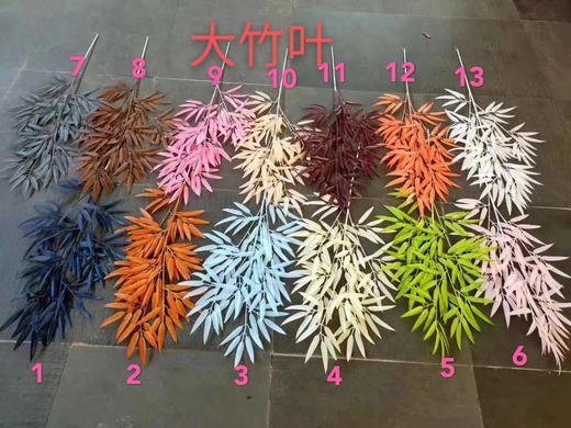 大竹叶【运费自理】 商品图0