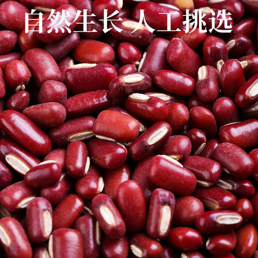 红小豆/500g 商品图3