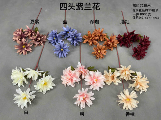 四头紫兰【运费自理】 商品图0