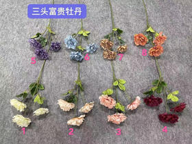 3头富贵牡丹【运费自理】