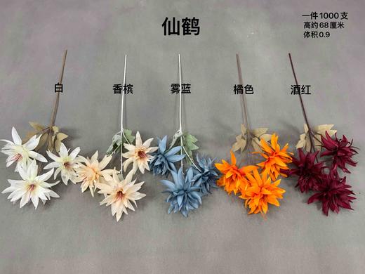 仙鹤【运费自理】 商品图0
