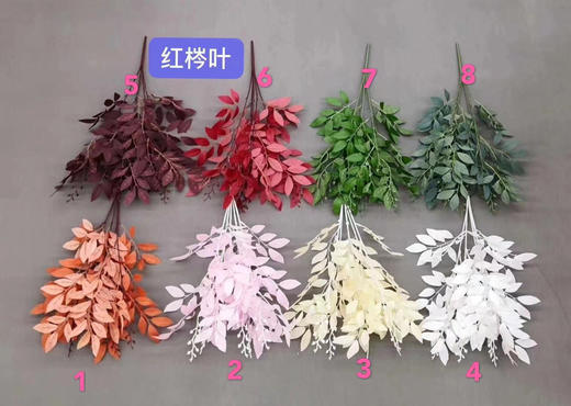 红梣叶【运费自理】 商品图0