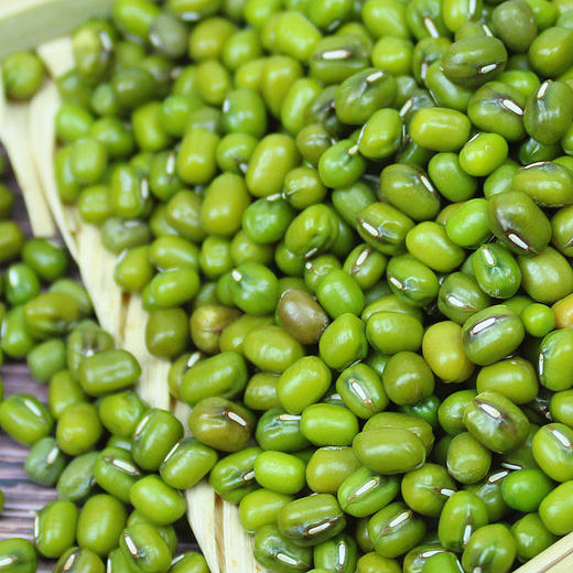 绿豆/500g 商品图1