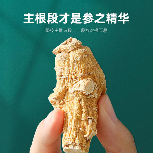 【杞里香加拿大产西洋参段礼盒200g】花旗参切段泡茶泡水整枝年礼
加拿大原产西洋参段 精美大气礼盒装 商品图3
