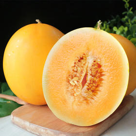 民勤蜜瓜 黄河蜜瓜甜瓜黄金蜜瓜黄皮瓜现季水果香甜多汁 一件代发