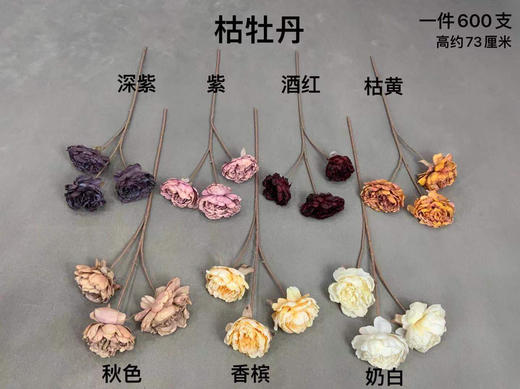 枯牡丹【运费自理】 商品图0