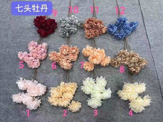 七头牡丹【运费自理】 商品图0