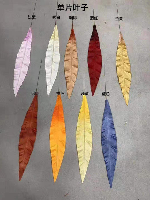 单片叶子【运费自理】 商品图0