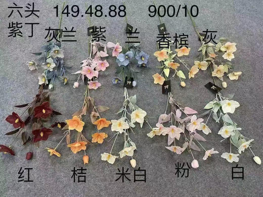 6头紫丁【运费自理】 商品图0