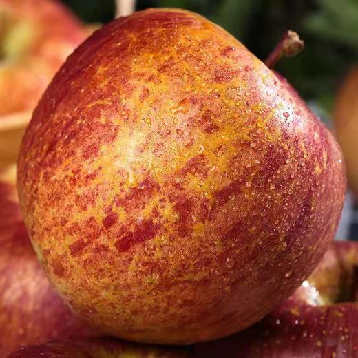 云南红露苹果 商品图1