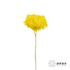 永生绣球 | 黄色 商品缩略图5