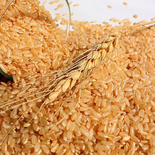 糙米/500g 商品图1