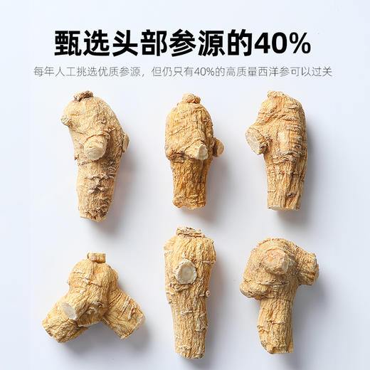 【杞里香加拿大产西洋参段礼盒200g】花旗参切段泡茶泡水整枝年礼
加拿大原产西洋参段 精美大气礼盒装 商品图2