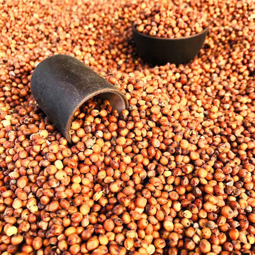 高粱/500g 商品图0