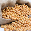 生芽黄豆/500g 商品缩略图0