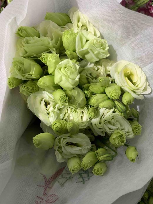 A桔梗绿色 商品图1