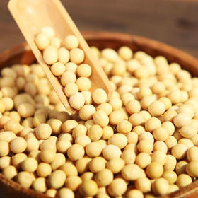 黄豆/500g