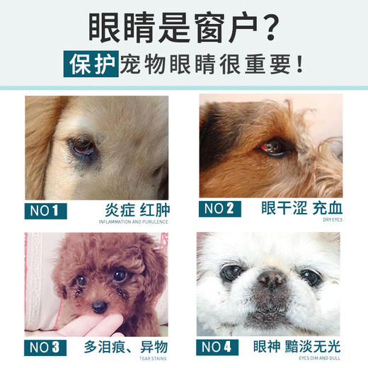 新宠之康滴眼液8ml（一件代发，省内包邮） 商品图4
