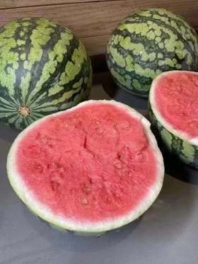 【麒麟西瓜】7斤/个 ，清热解暑、瓜瓤脆嫩