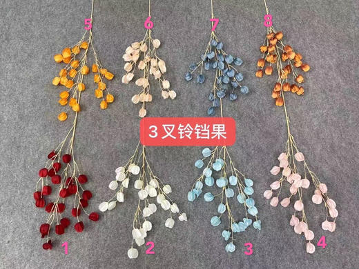 3叉铃铛果【运费自理】 商品图0